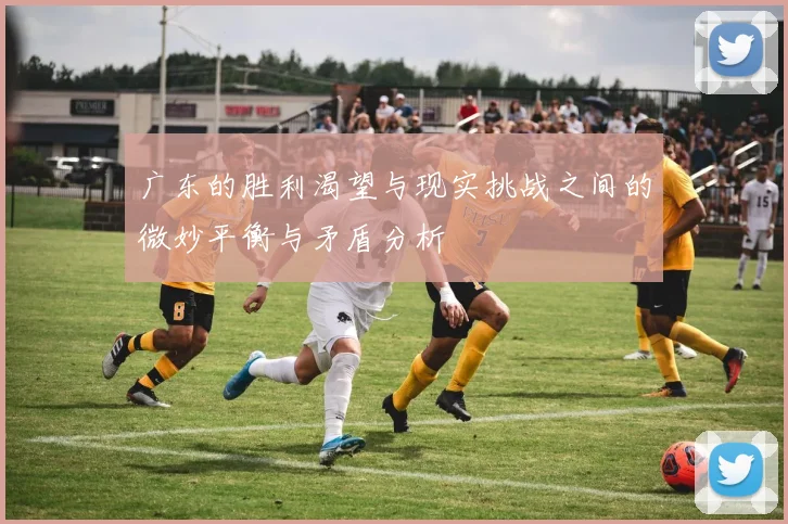广东的胜利渴望与现实挑战之间的微妙平衡与矛盾分析